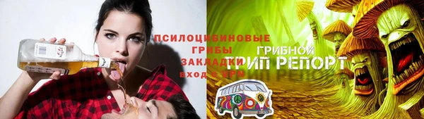 винт Кинешма