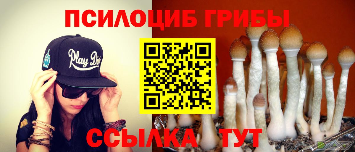 Псилоцибиновые грибы Magic Shrooms  Вход с VPN  Энгельс 