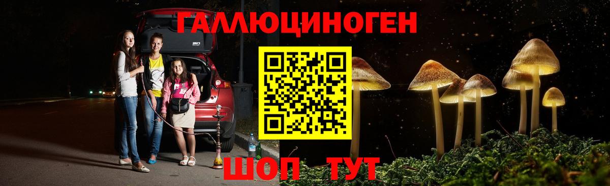 Псилоцибиновые грибы Psilocybe Энгельс